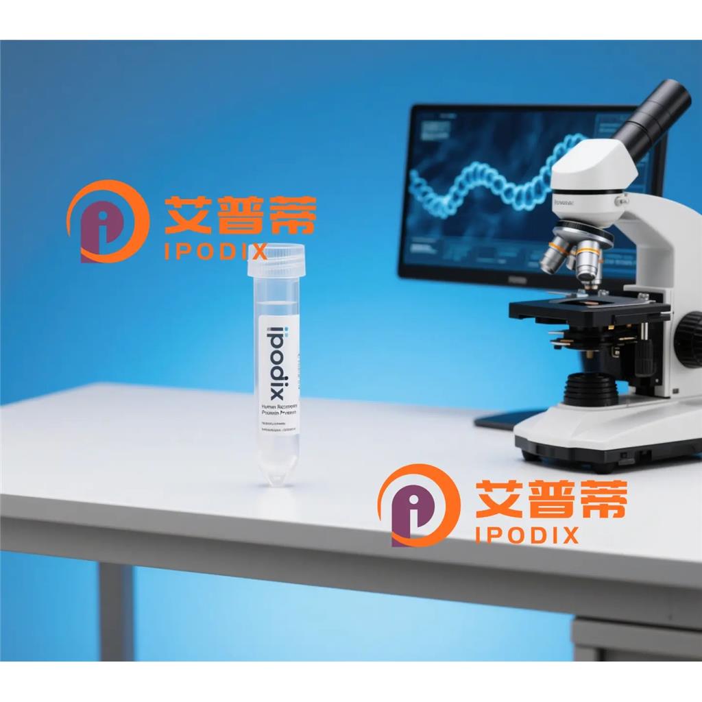 Radixin抗体;Radixin Antibody—艾普蒂