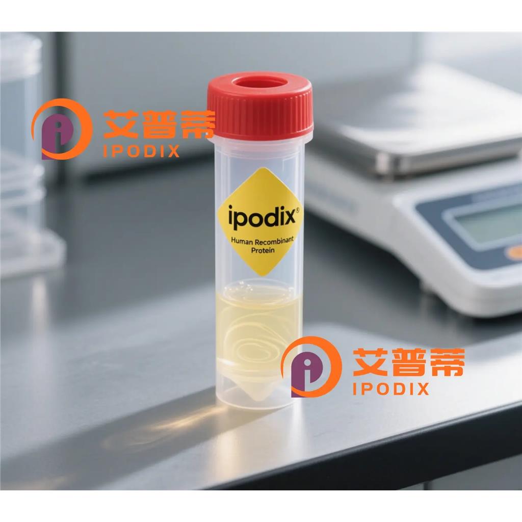 Phospho-PDGFReceptorbeta(Y740)抗体;Phospho-PDGFReceptorbeta(Y740) Antibody—艾普蒂