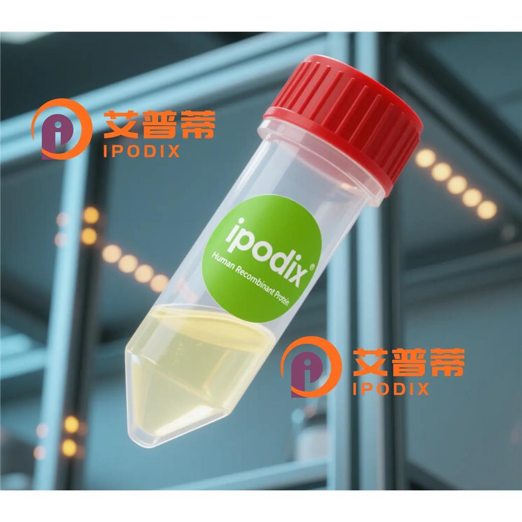 NOX2/CYBB/gp91phox抗体;NOX2/CYBB/gp91phox Antibody—艾普蒂