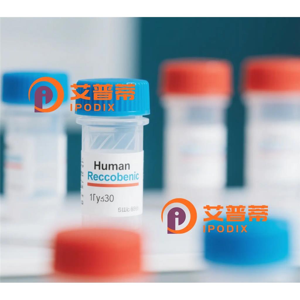 RetinoicAcidReceptoralpha抗体;RetinoicAcidReceptoralpha Antibody—艾普蒂