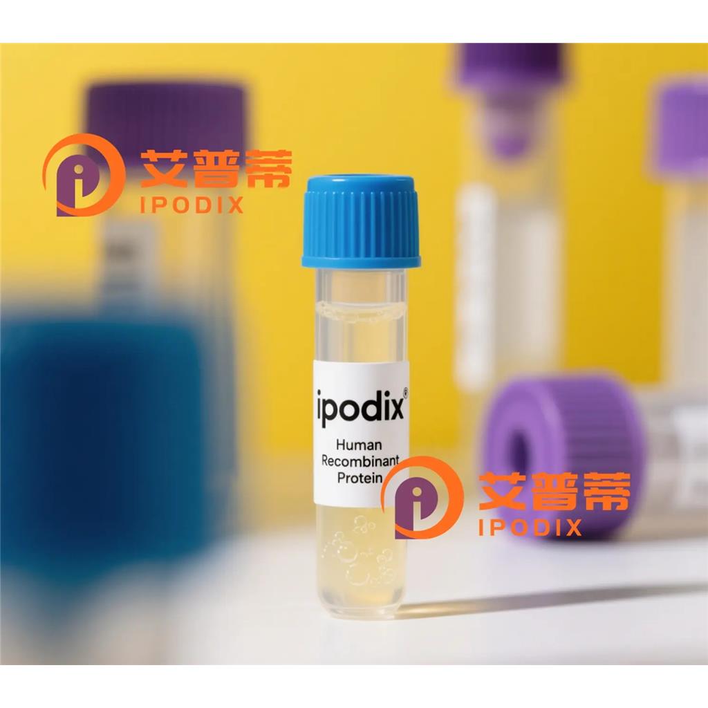 BRG1抗体;BRG1 Antibody—艾普蒂