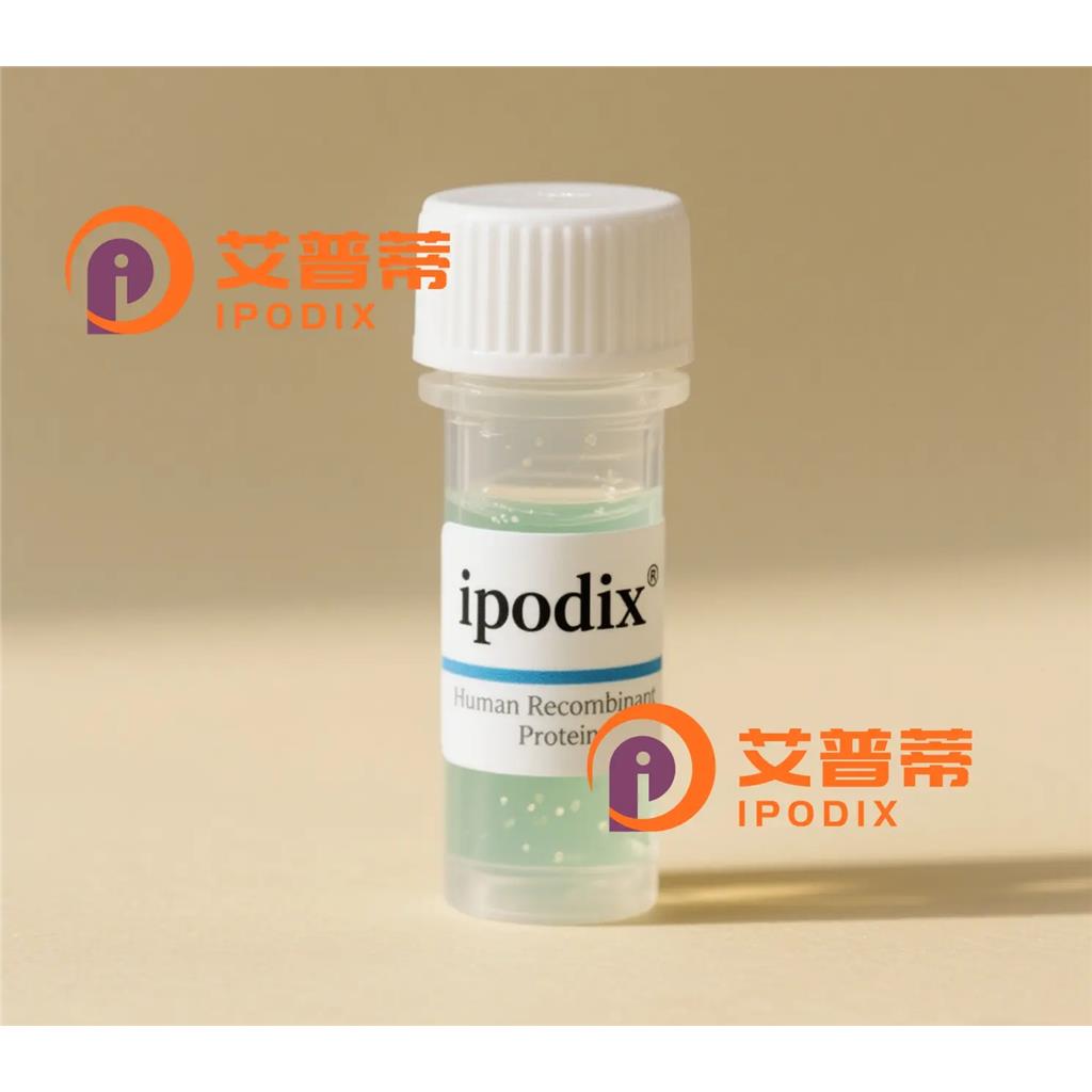 CyclinH抗体;CyclinH Antibody—艾普蒂