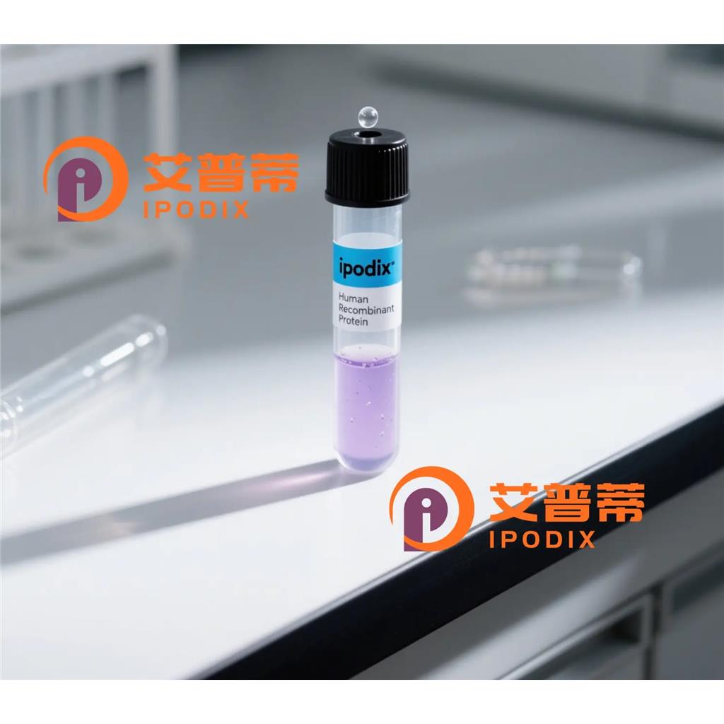 Phospho-JunD(S255)抗体;Phospho-JunD(S255) Antibody—艾普蒂