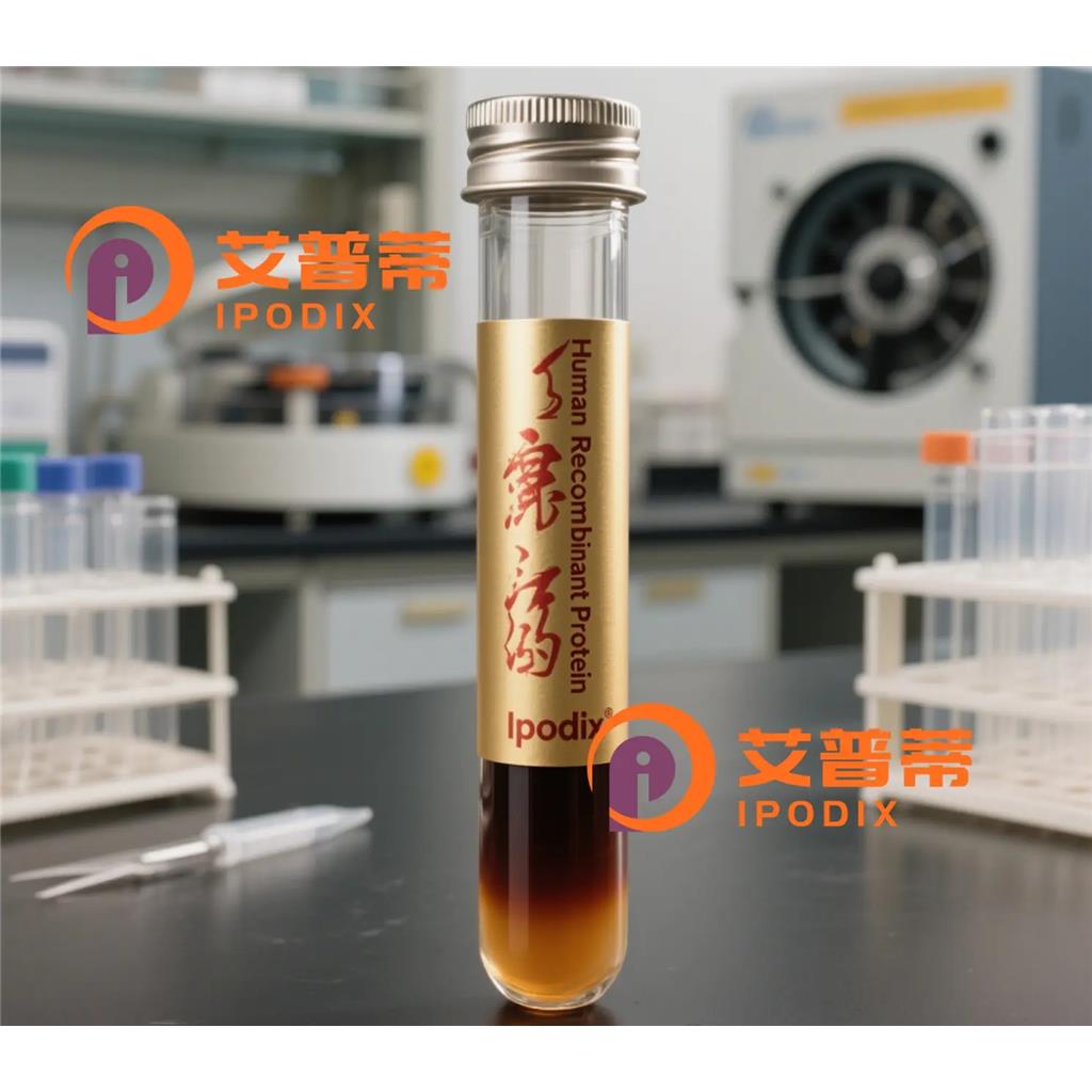 MEKK3抗体;MEKK3 Antibody—艾普蒂