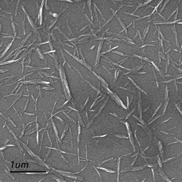 【奇宏科技】磺化纤维素纳米晶须分散液CNC-C04，专注纳米纤维素十年