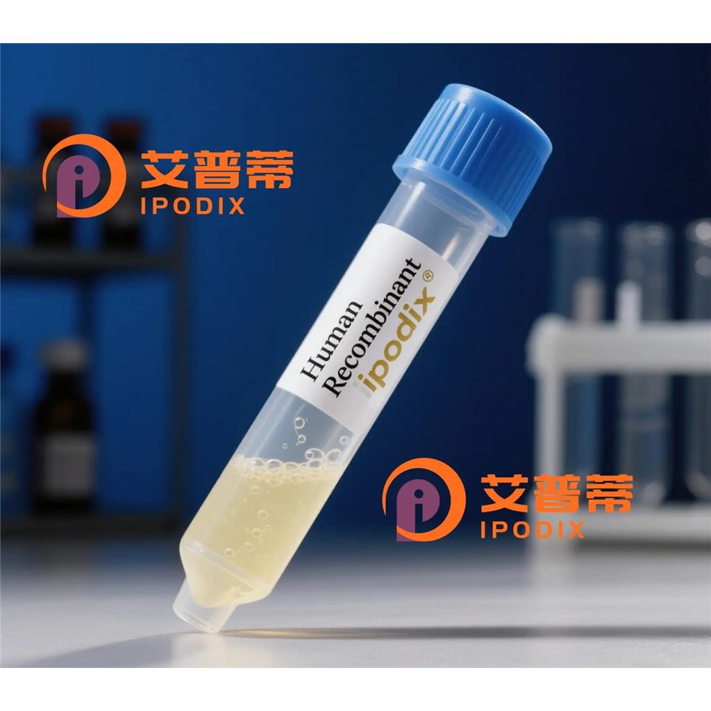 CDC40抗体;CDC40 Antibody—艾普蒂