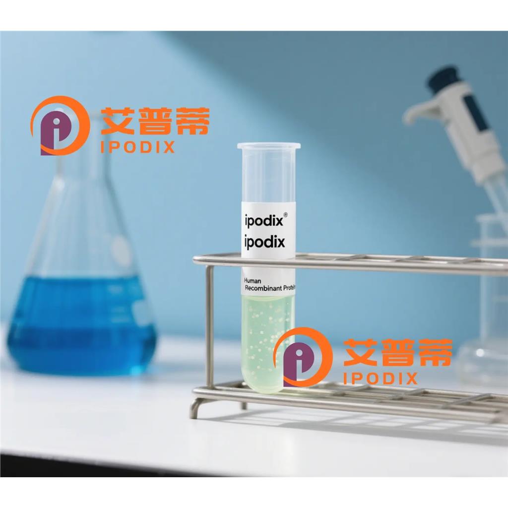 Aromatase抗体;Aromatase Antibody—艾普蒂