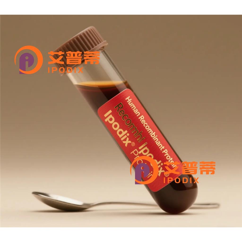 Calpain1抗体;Calpain1 Antibody—艾普蒂