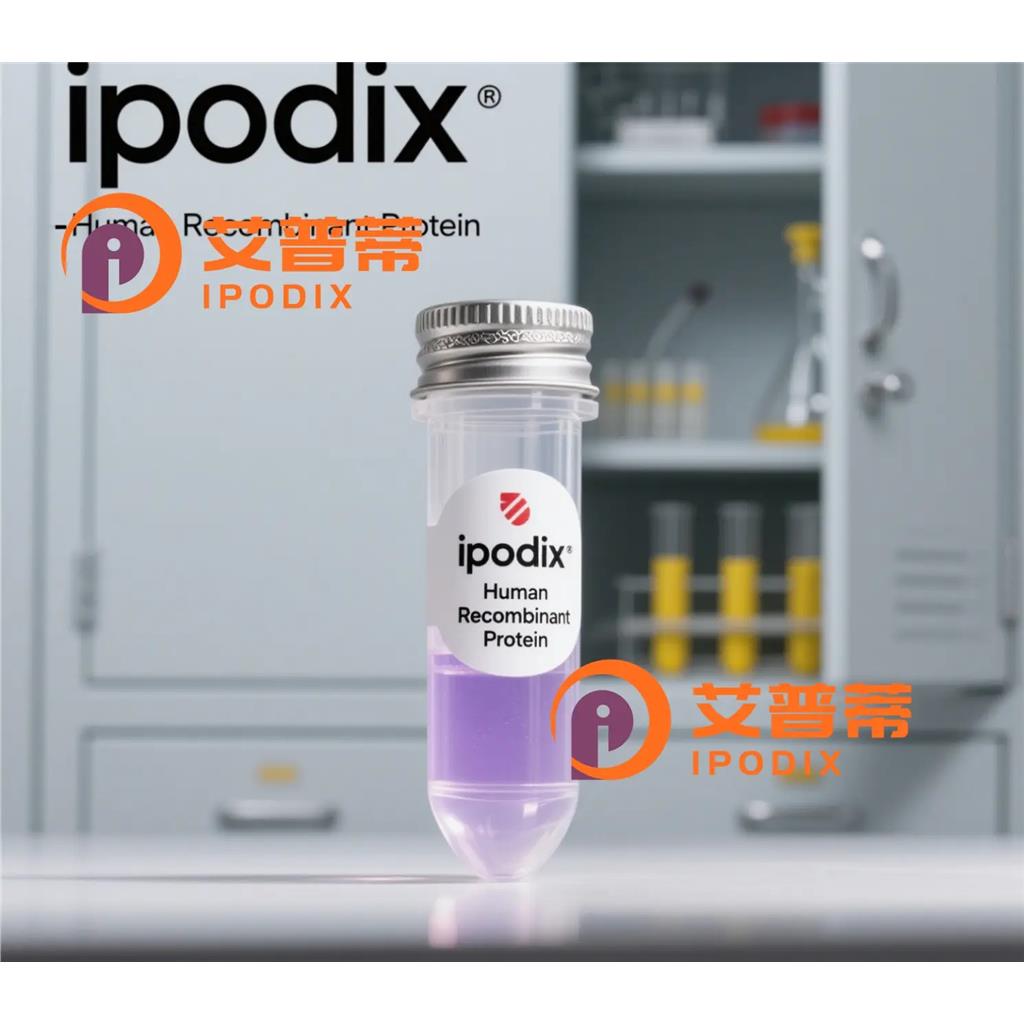 GCN2抗体;GCN2 Antibody—艾普蒂