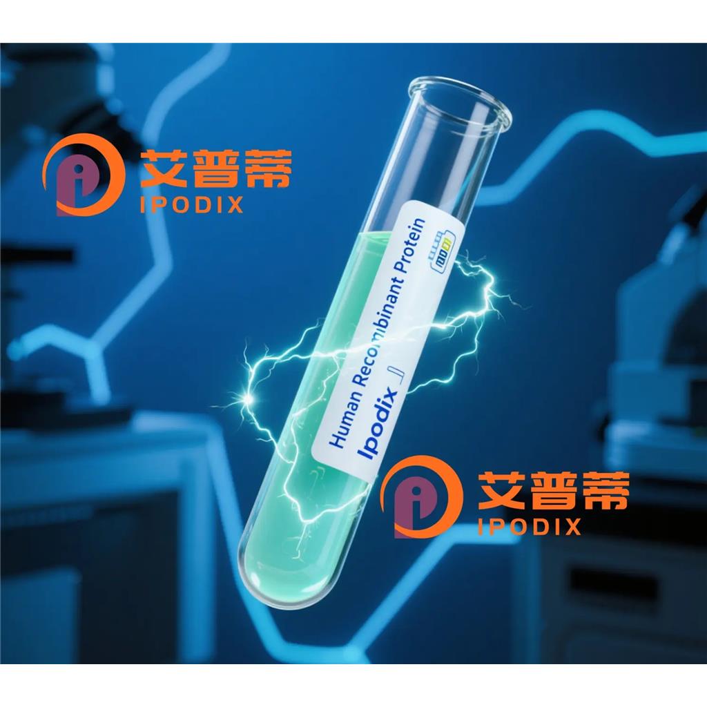Staufen抗体;Staufen Antibody—艾普蒂