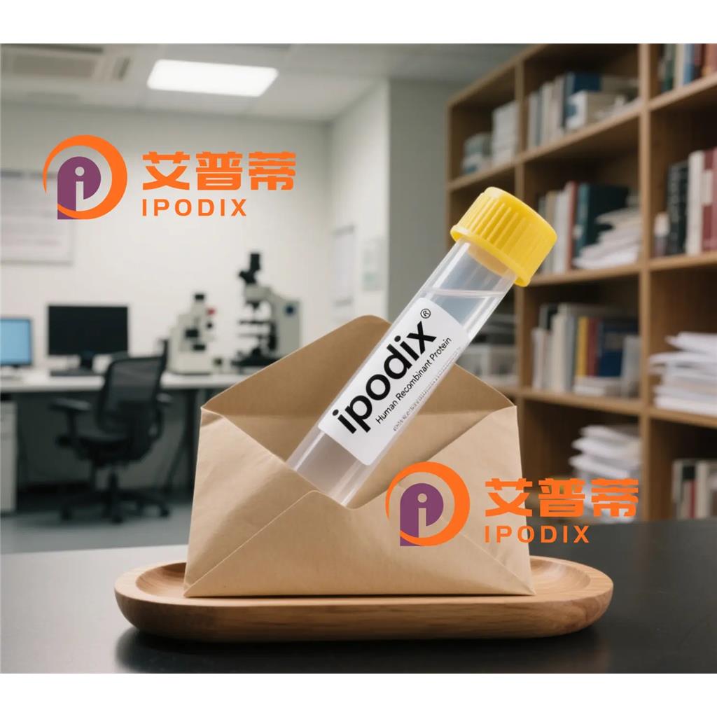 ITCH抗体;ITCH Antibody—艾普蒂