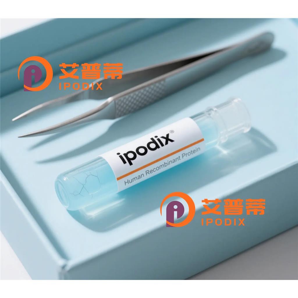 GPX4抗体;GPX4 Antibody—艾普蒂