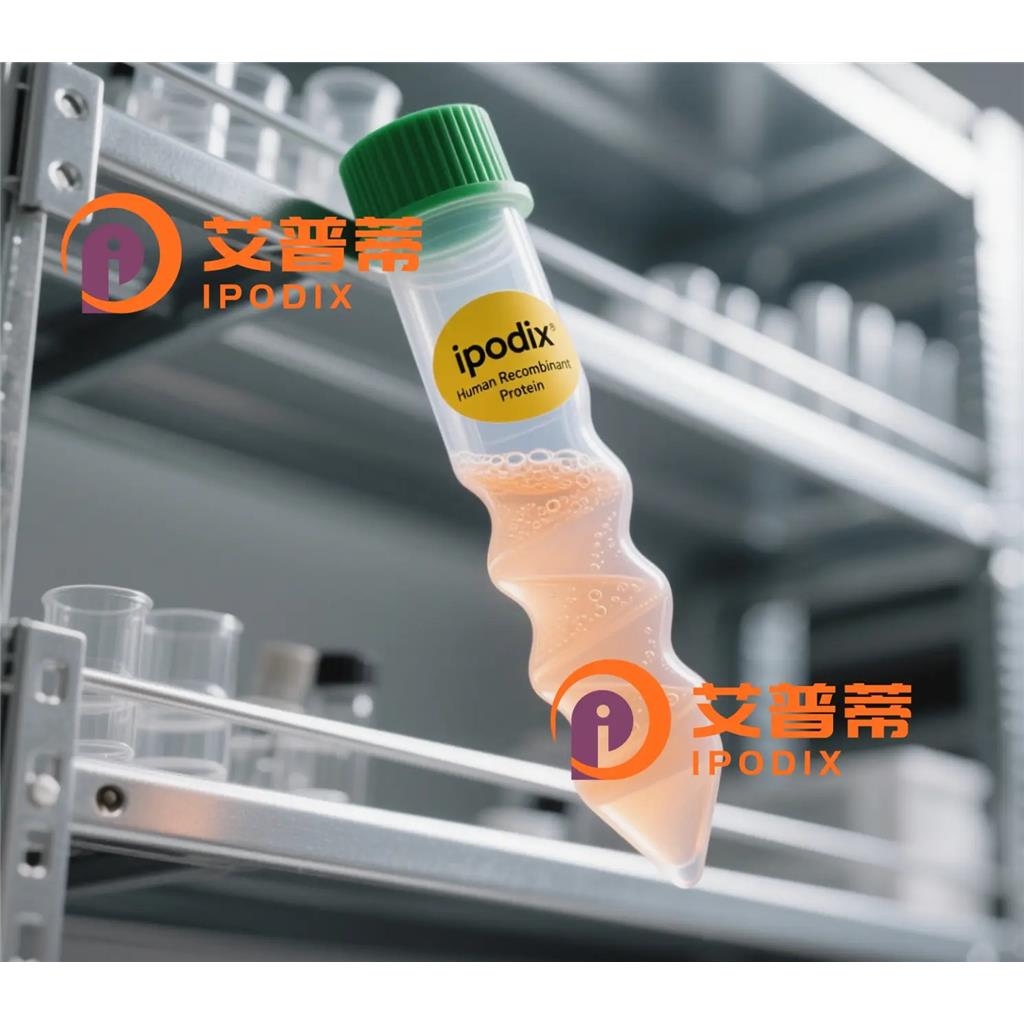 DOPADecarboxylase抗体;DOPADecarboxylase Antibody—艾普蒂