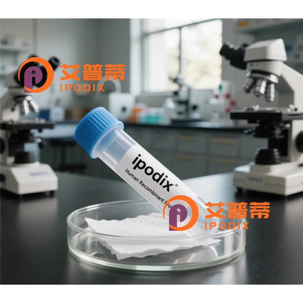 EDG2抗体;EDG2 Antibody—艾普蒂