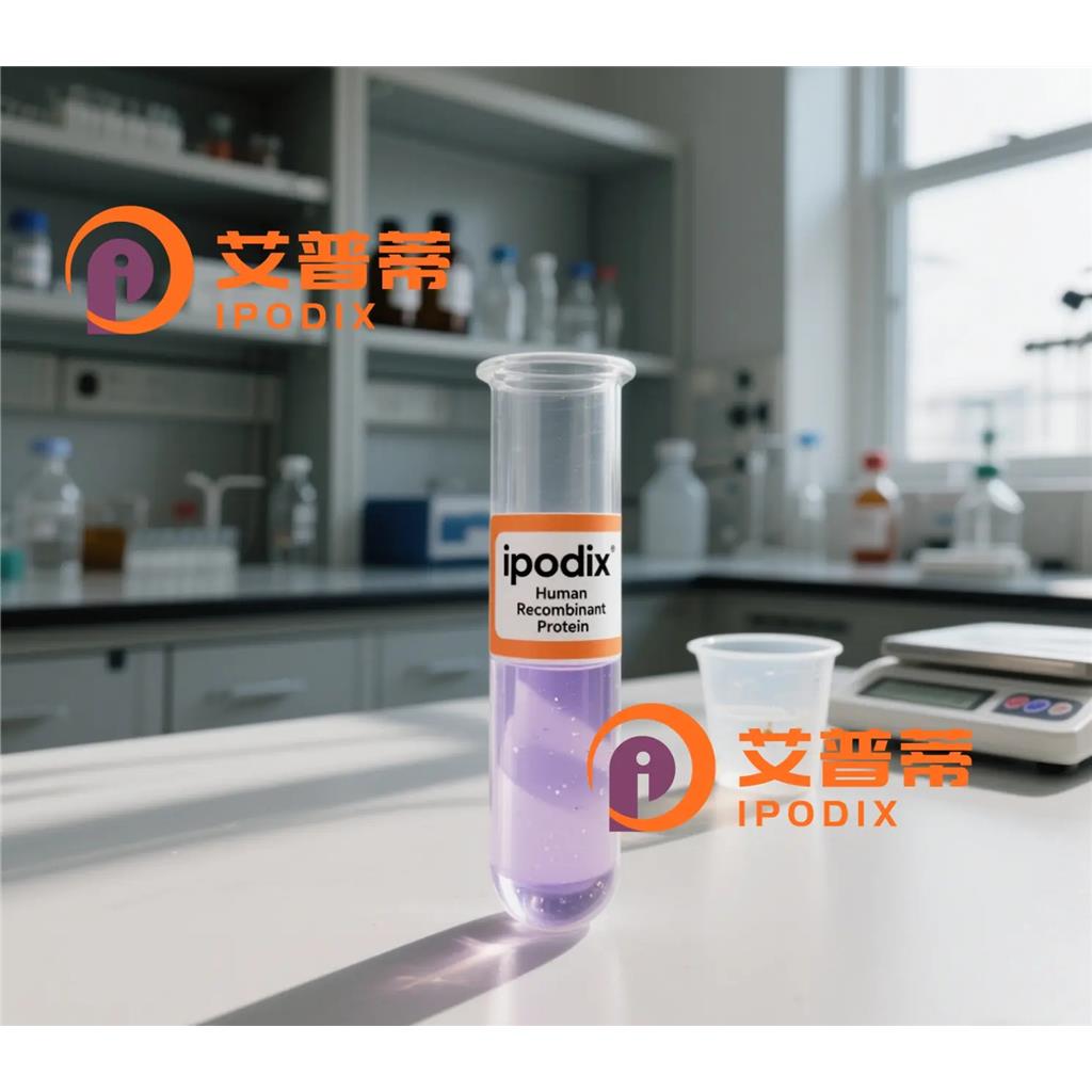 PAK1抗体;PAK1 Antibody—艾普蒂