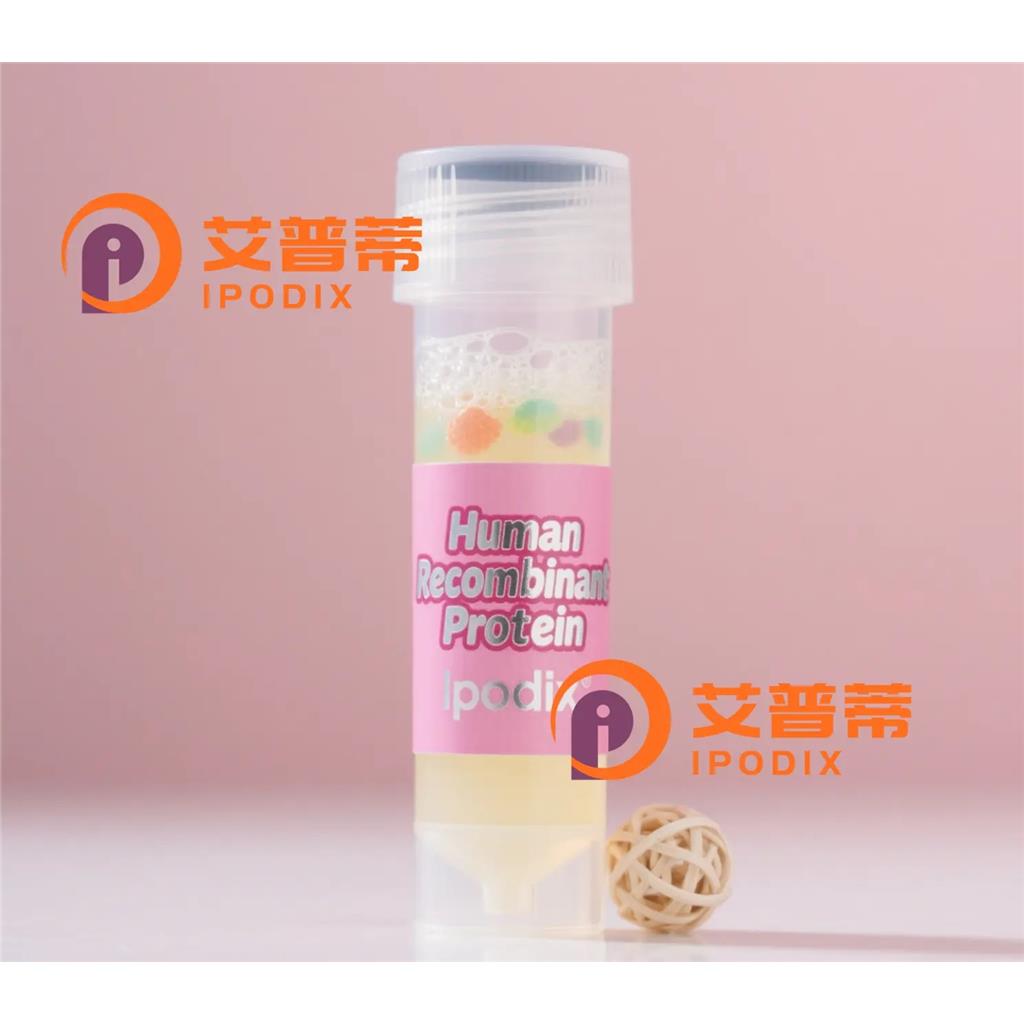 PRPF4抗体;PRPF4 Antibody—艾普蒂