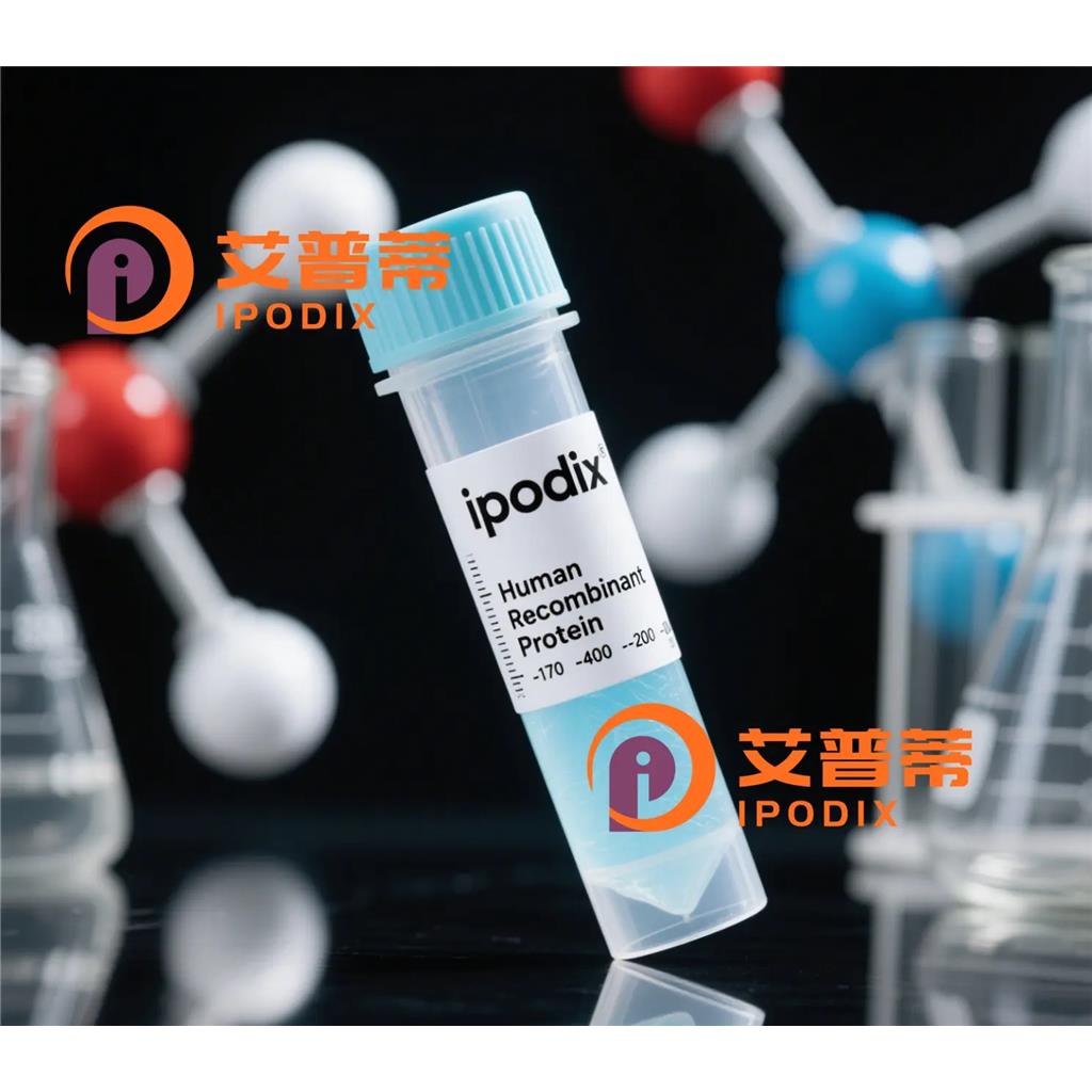 ACTR1B抗体;ACTR1B Antibody—艾普蒂