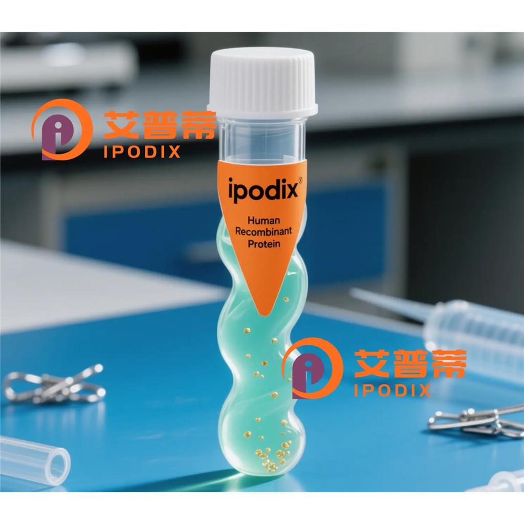 ACTR1B抗体;ACTR1B Antibody—艾普蒂