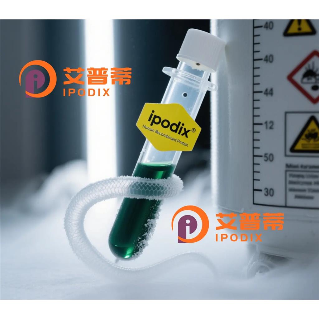 Adiponectin抗体;Adiponectin Antibody—艾普蒂