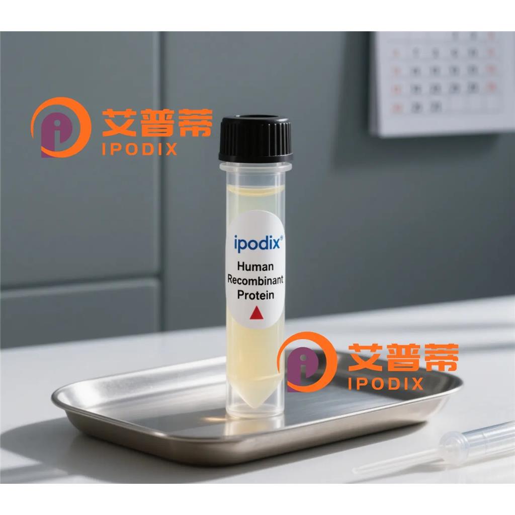 CSDE1抗体;CSDE1 Antibody—艾普蒂