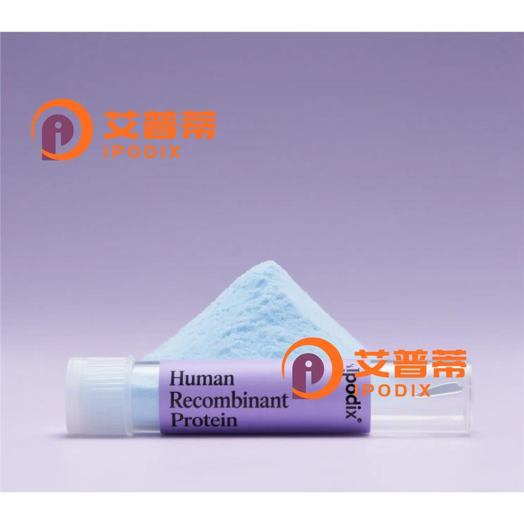 VGLUT1抗体;VGLUT1 Antibody—艾普蒂