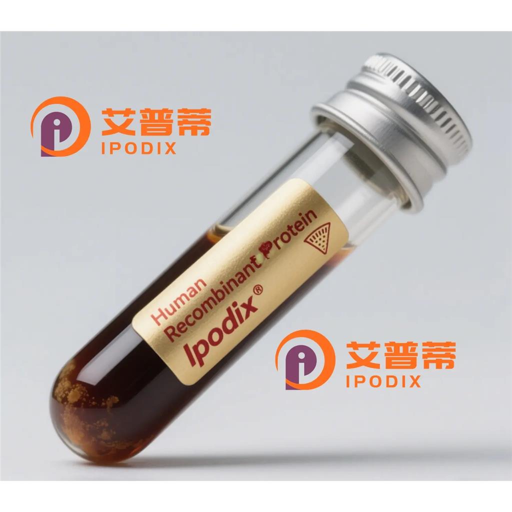 ATP1A2抗体;ATP1A2 Antibody—艾普蒂