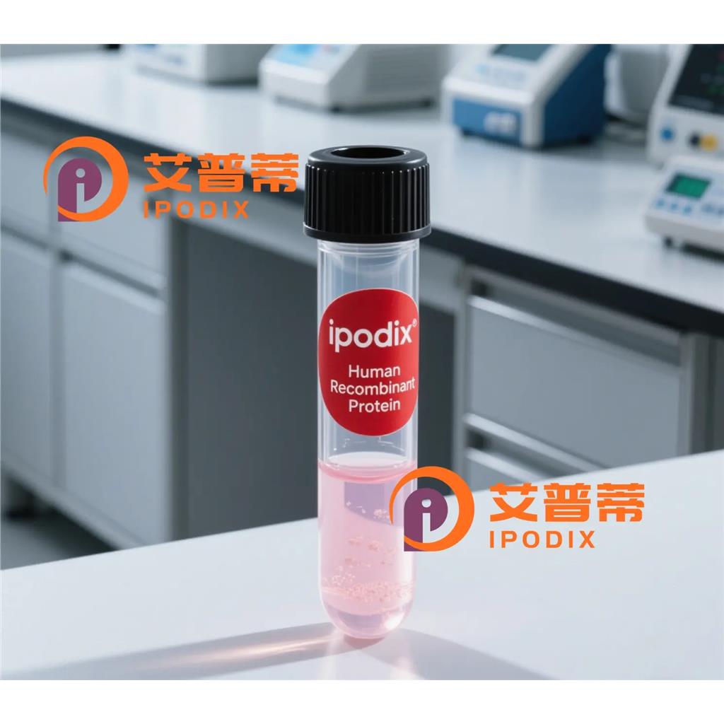 NCF1抗体;NCF1 Antibody—艾普蒂