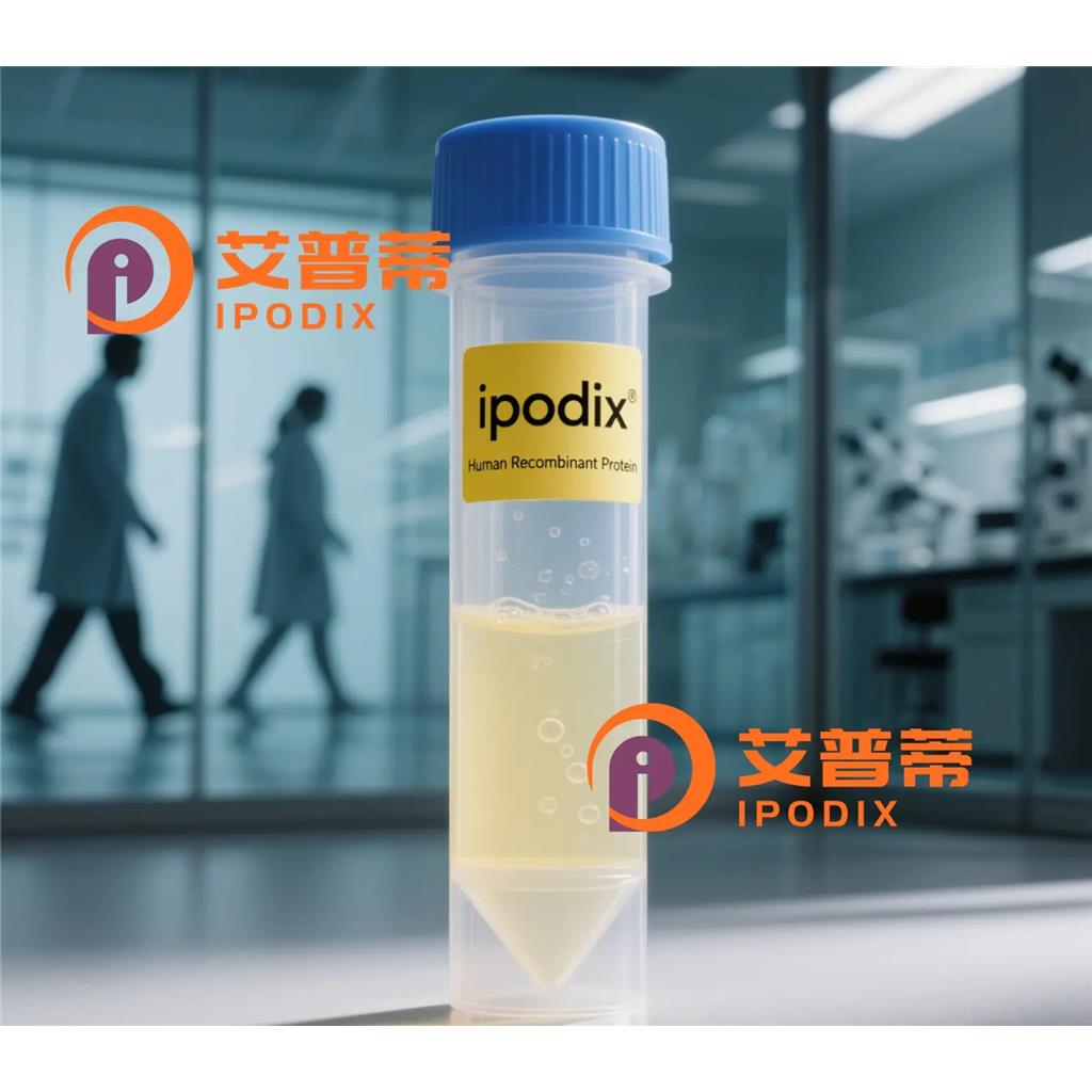 POLR2C抗体;POLR2C Antibody—艾普蒂