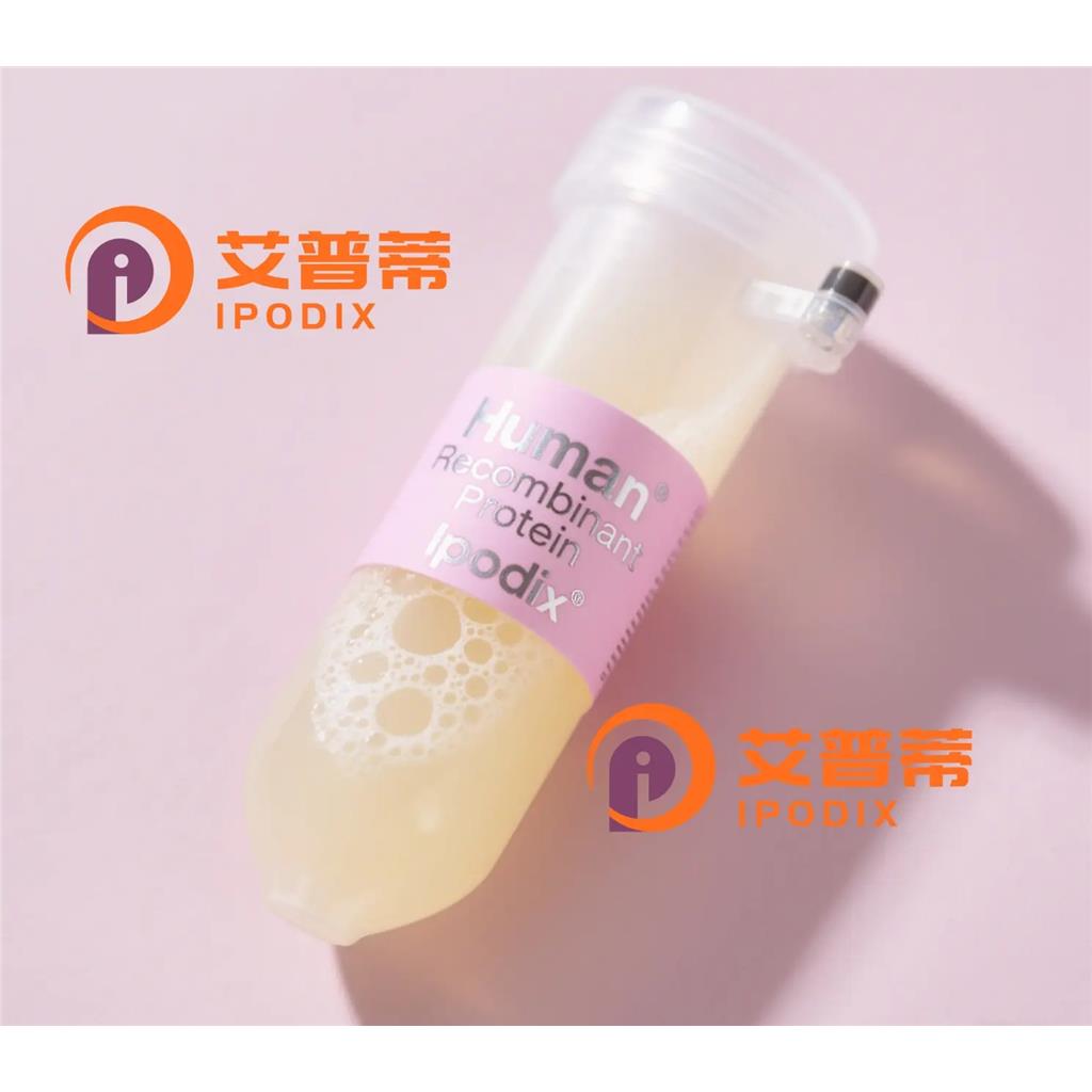 PAR2抗体;PAR2 Antibody—艾普蒂