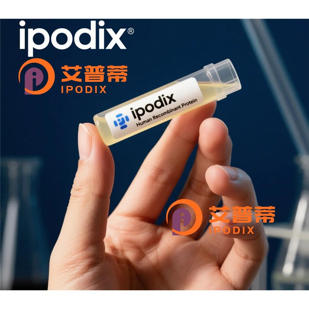 CoREST抗体;CoREST Antibody—艾普蒂