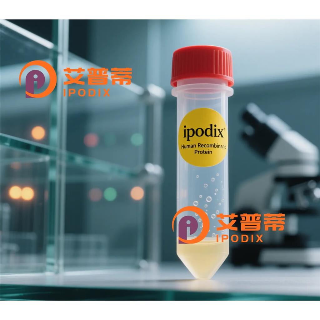 FANCA抗体;FANCA Antibody—艾普蒂