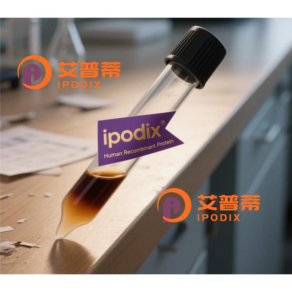 ICAM1/CD54抗体;ICAM1/CD54 Antibody—艾普蒂