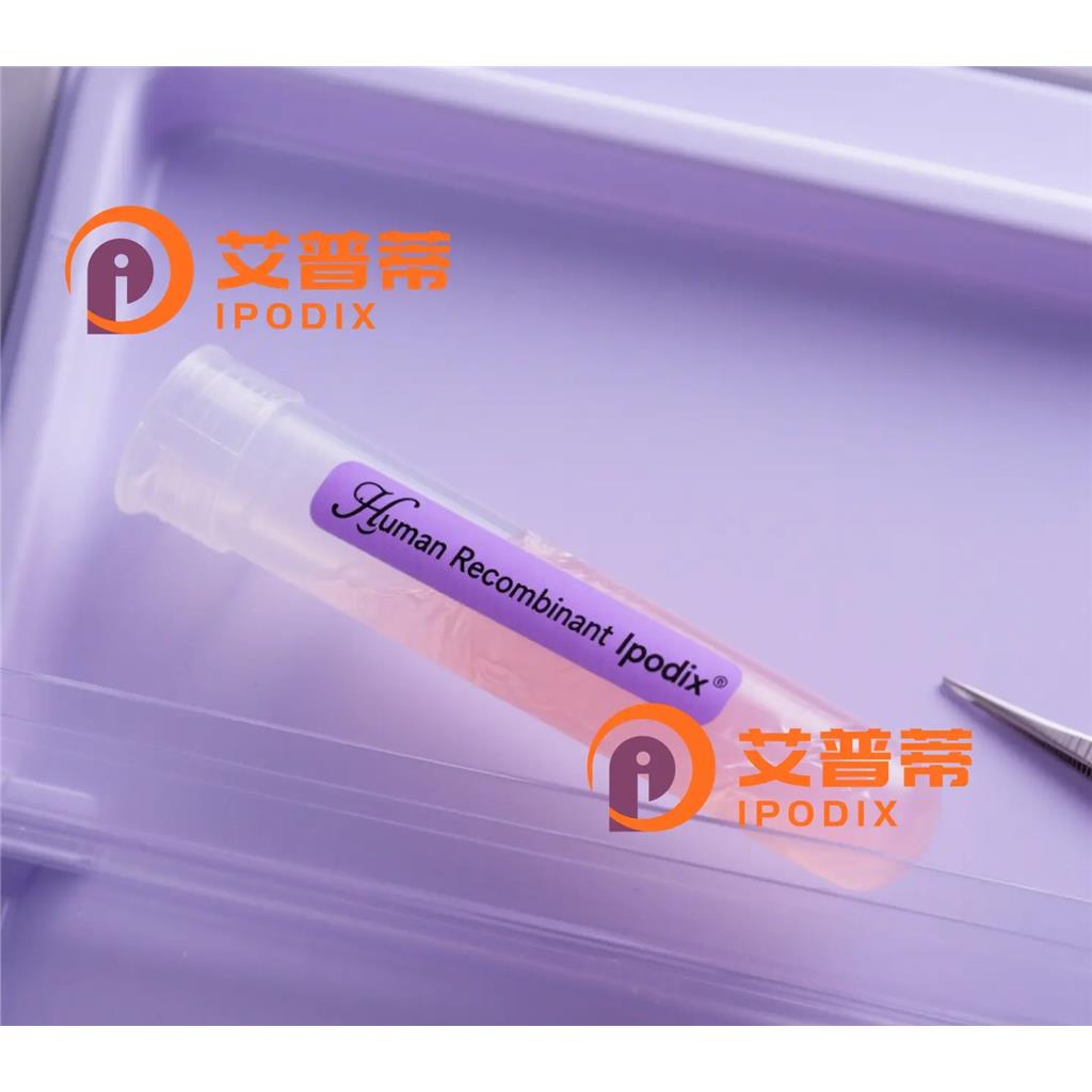 SYPL1抗体;SYPL1 Antibody—艾普蒂