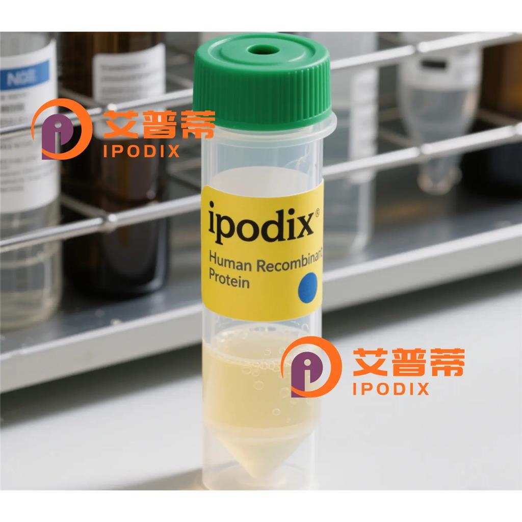 HistoneH3(acetylK9)抗体;HistoneH3(acetylK9) Antibody—艾普蒂