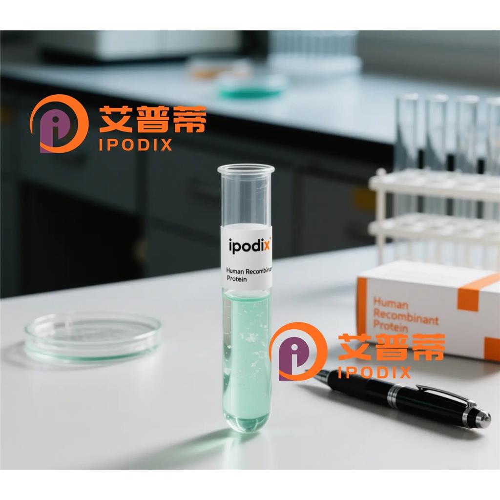 MBNL1抗体;MBNL1 Antibody—艾普蒂