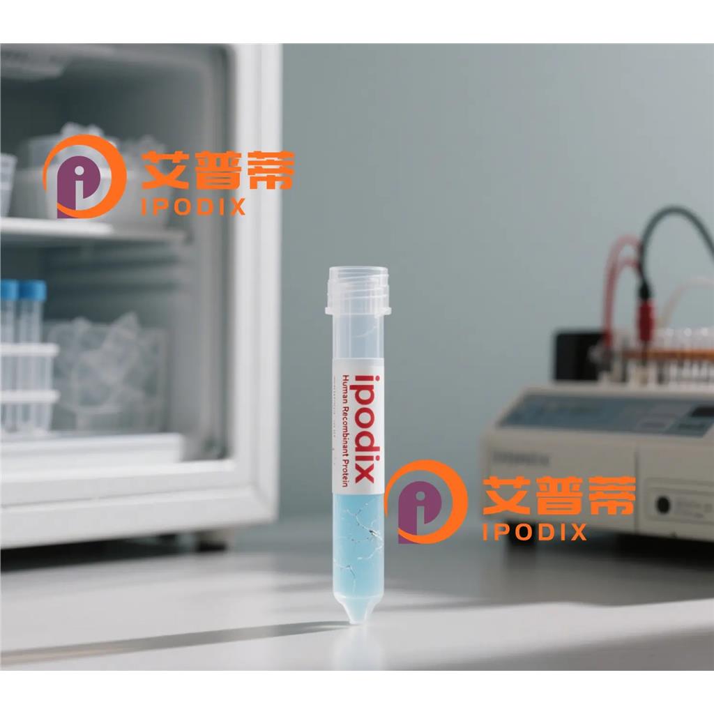 Phospho-PKCdelta(Y311)抗体;Phospho-PKCdelta(Y311) Antibody—艾普蒂