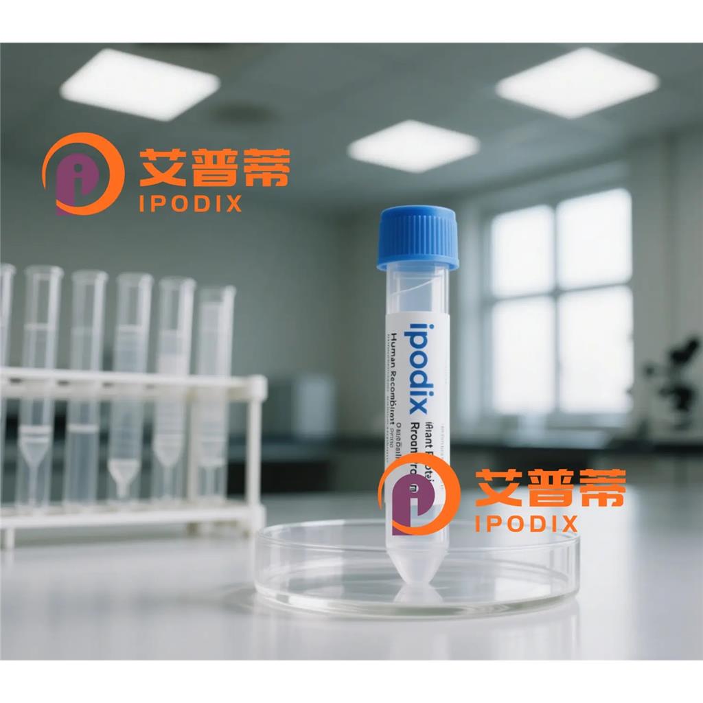 Pannexin1抗体;Pannexin1 Antibody—艾普蒂