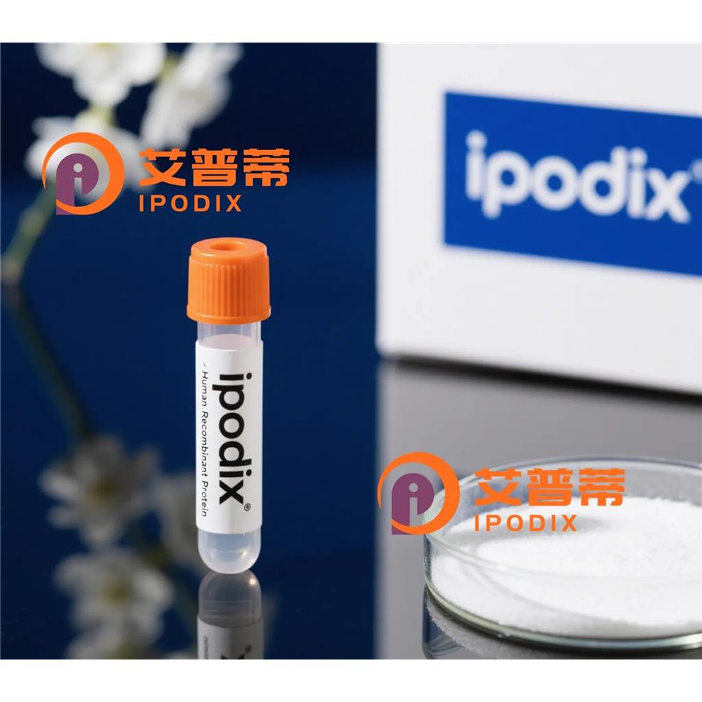 Olig1抗体;Olig1 Antibody—艾普蒂