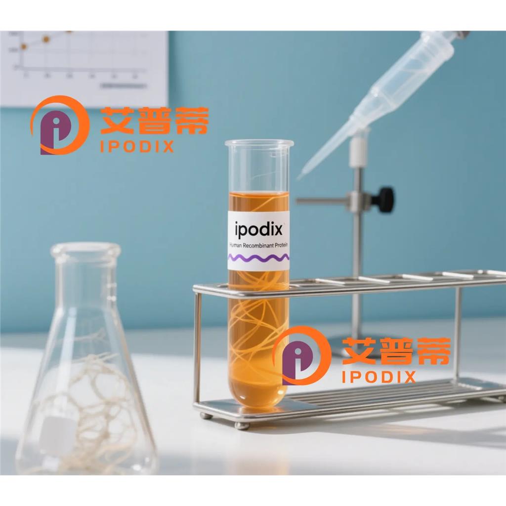 ADAR1抗体;ADAR1 Antibody—艾普蒂