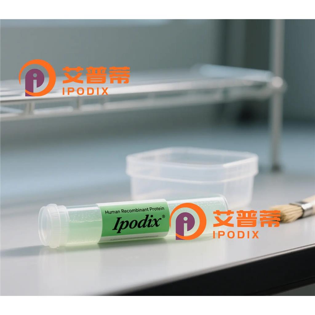 Frizzled8抗体;Frizzled8 Antibody—艾普蒂