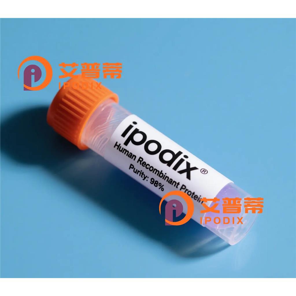 RibophorinI抗体;RibophorinI Antibody—艾普蒂