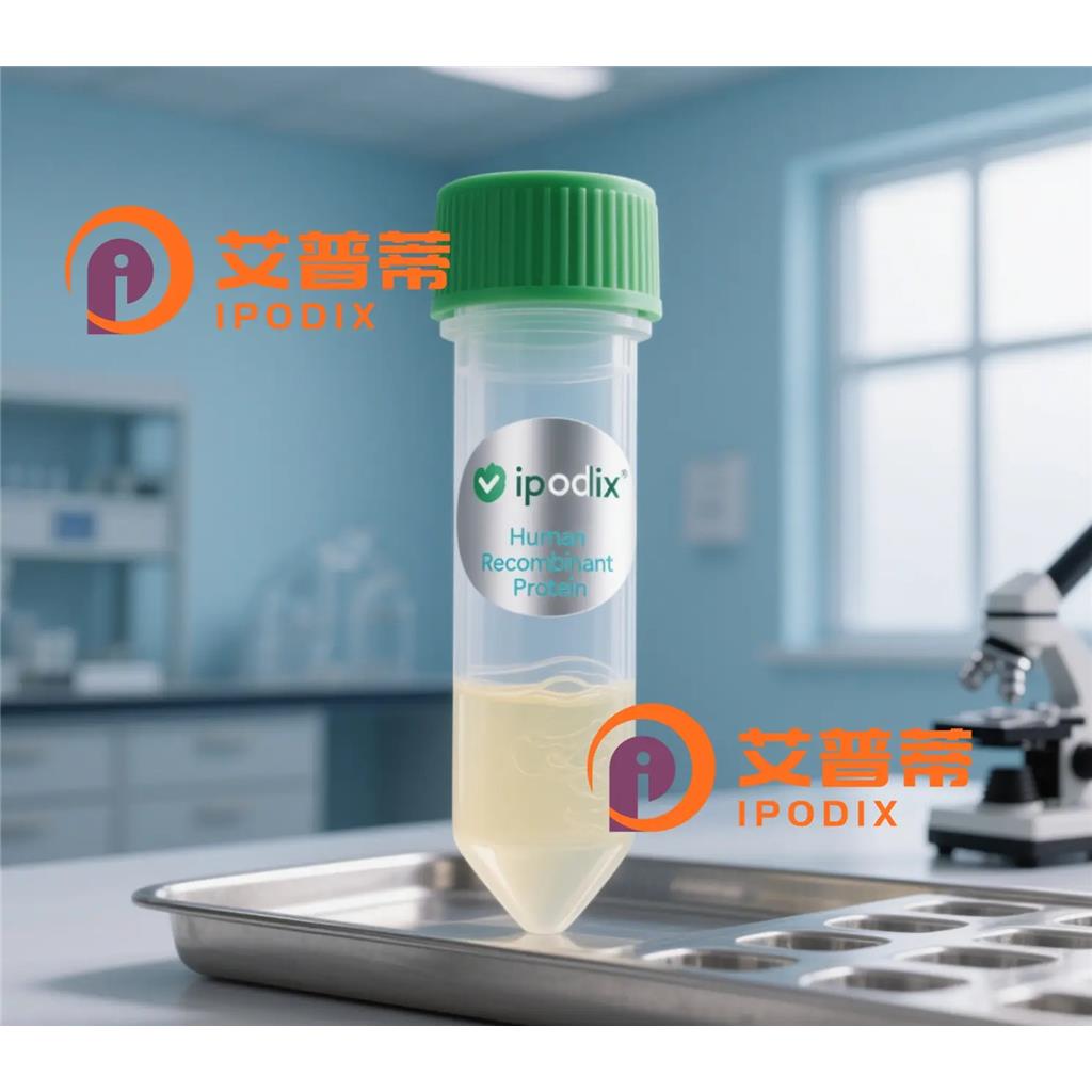 FKBP38抗体;FKBP38 Antibody—艾普蒂