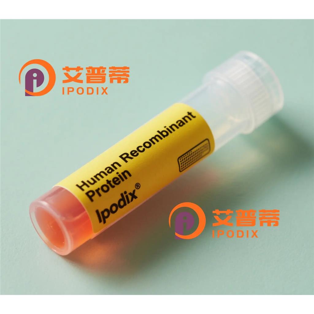 Exportin5抗体;Exportin5 Antibody—艾普蒂