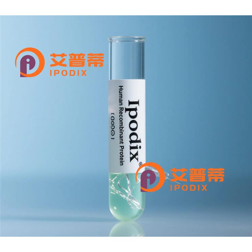 GCET2抗体;GCET2 Antibody—艾普蒂