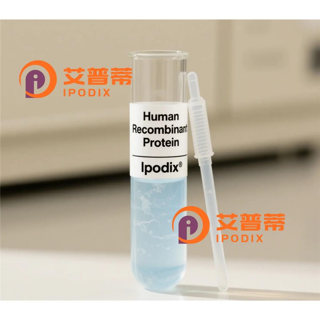 SYVN1/HRD1抗体;SYVN1/HRD1 Antibody—艾普蒂