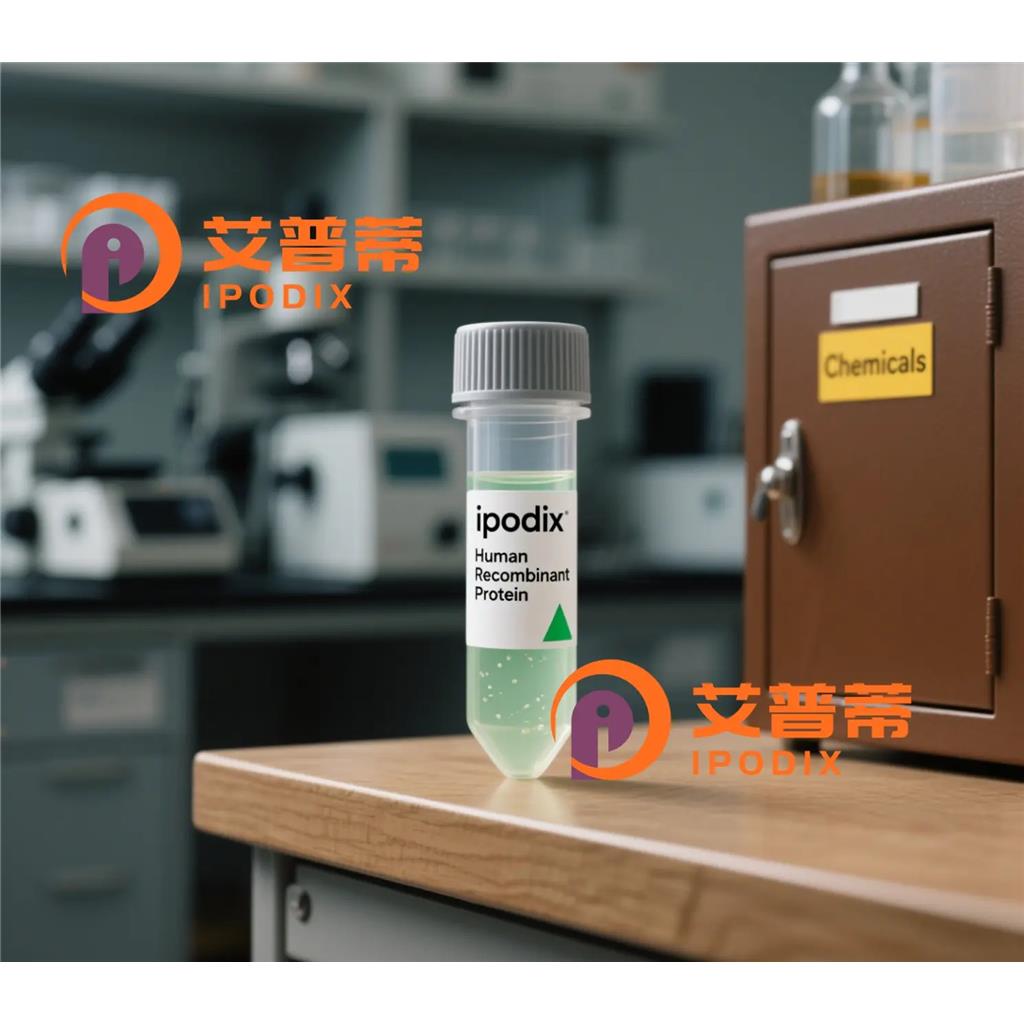 TEAD1抗体;TEAD1 Antibody—艾普蒂