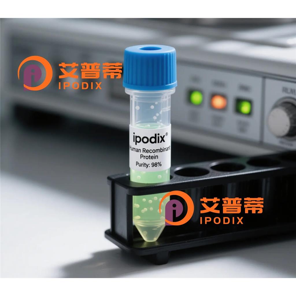 Ube1L/UBA7抗体;Ube1L/UBA7 Antibody—艾普蒂