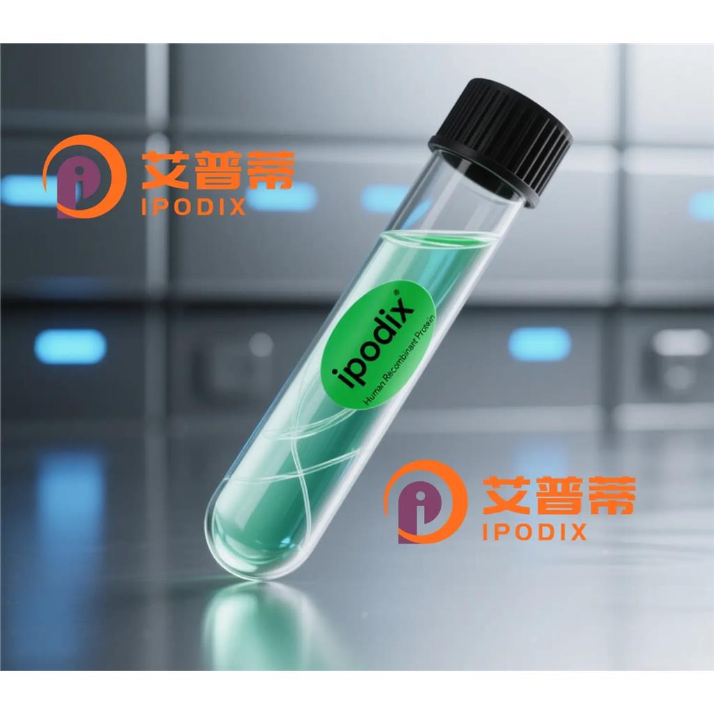 Phospho-CaMKIIalpha(T286)抗体;Phospho-CaMKIIalpha(T286) Antibody—艾普蒂