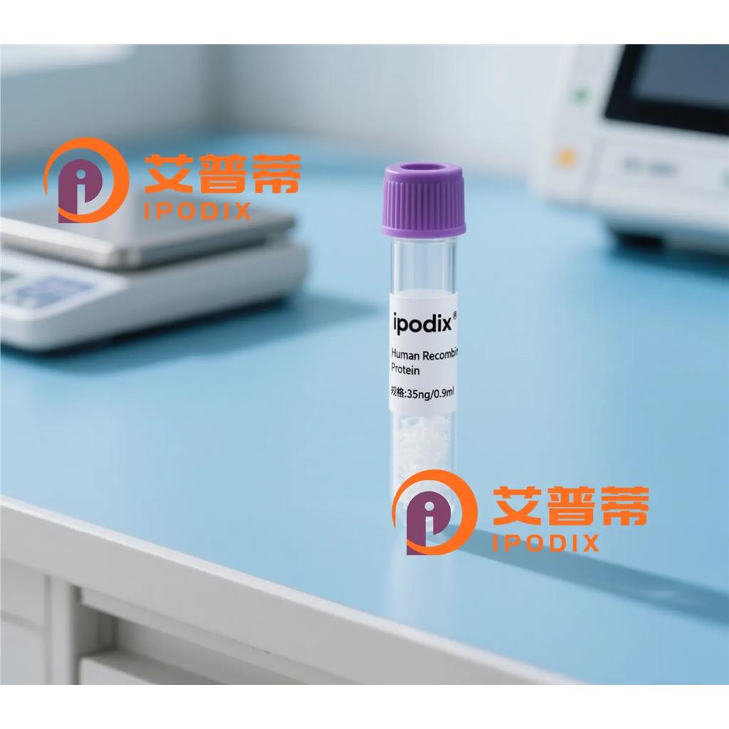 Neurocan抗体;Neurocan Antibody—艾普蒂