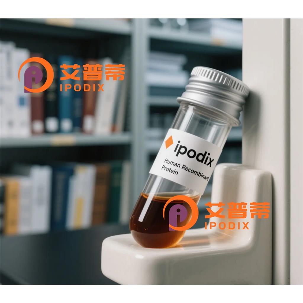 CTNNA3抗体;CTNNA3 Antibody—艾普蒂